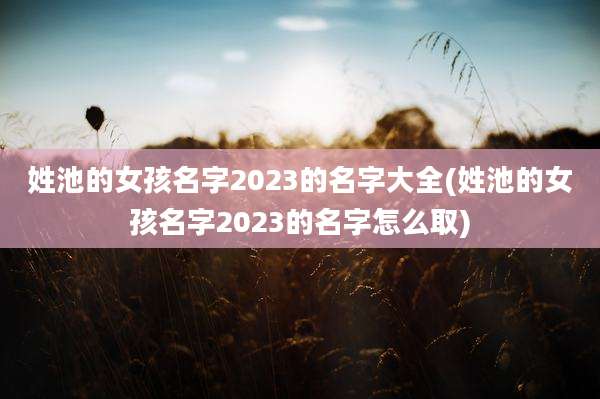 姓池的女孩名字2023的名字大全(姓池的女孩名字2023的名字怎么取)