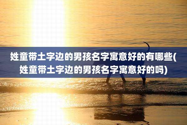 姓童带土字边的男孩名字寓意好的有哪些(姓童带土字边的男孩名字寓意好的吗)