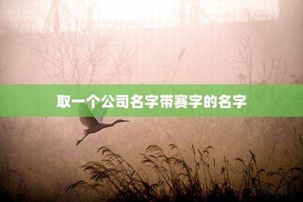 取一个公司名字带赛字的名字