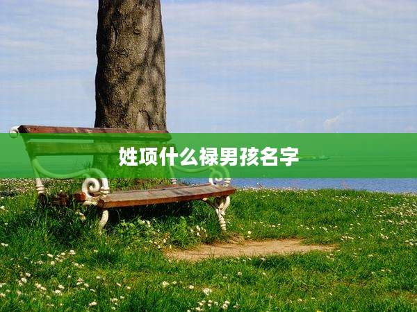 姓项什么禄男孩名字