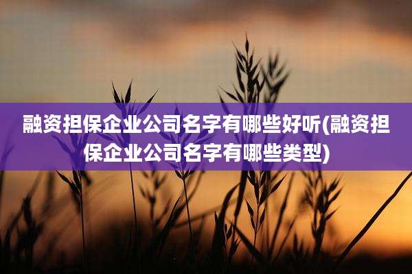 融资担保企业公司名字有哪些好听(融资担保企业公司名字有哪些类型)