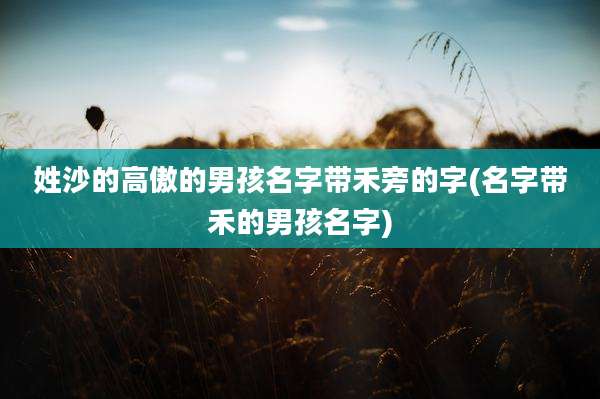姓沙的高傲的男孩名字带禾旁的字(名字带禾的男孩名字)