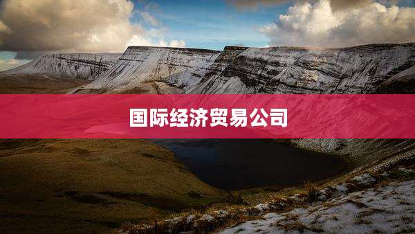 国际经济贸易公司
