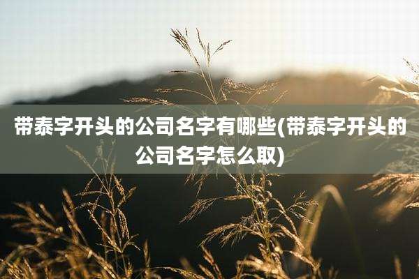 带泰字开头的公司名字有哪些(带泰字开头的公司名字怎么取)