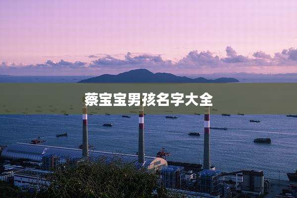 蔡宝宝男孩名字大全