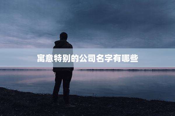 寓意特别的公司名字有哪些