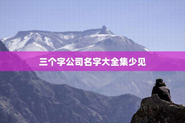 三个字公司名字大全集少见