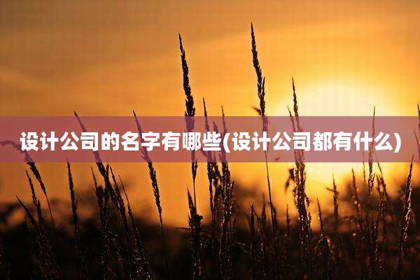 设计公司的名字有哪些(设计公司都有什么)