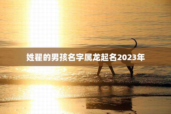 姓翟的男孩名字属龙起名2023年
