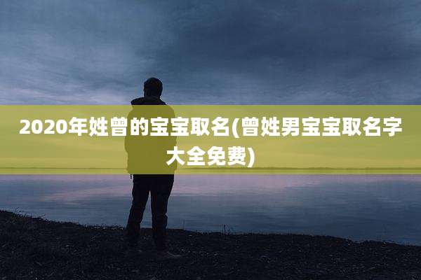 2020年姓曾的宝宝取名(曾姓男宝宝取名字大全免费)