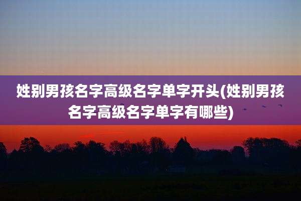 姓别男孩名字高级名字单字开头(姓别男孩名字高级名字单字有哪些)