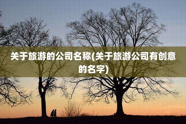 关于旅游的公司名称(关于旅游公司有创意的名字)