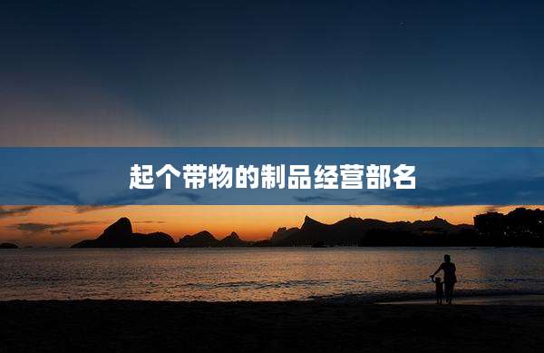 起个带物的制品经营部名
