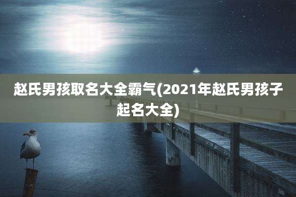 赵氏男孩取名大全霸气(2021年赵氏男孩子起名大全)