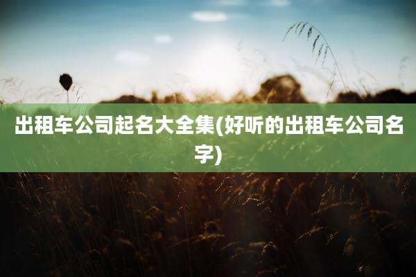 出租车公司起名大全集(好听的出租车公司名字)