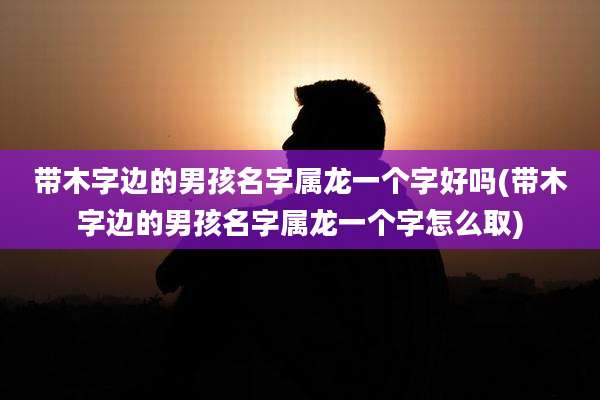 带木字边的男孩名字属龙一个字好吗(带木字边的男孩名字属龙一个字怎么取)