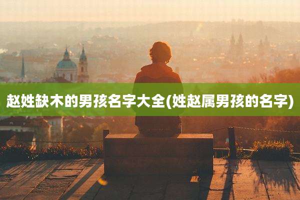 赵姓缺木的男孩名字大全(姓赵属男孩的名字)