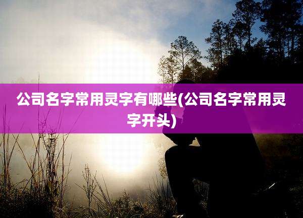 公司名字常用灵字有哪些(公司名字常用灵字开头)