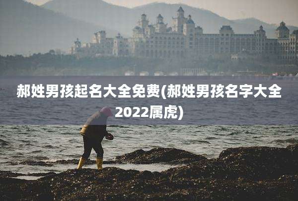 郝姓男孩起名大全免费(郝姓男孩名字大全2022属虎)
