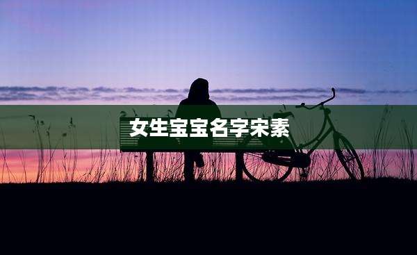 女生宝宝名字宋素