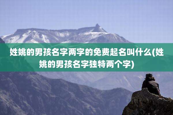 姓姚的男孩名字两字的免费起名叫什么(姓姚的男孩名字独特两个字)