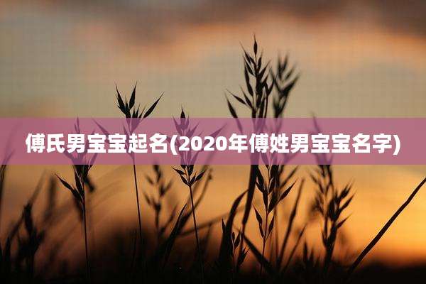傅氏男宝宝起名(2020年傅姓男宝宝名字)