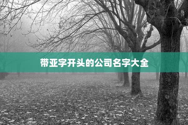 带亚字开头的公司名字大全
