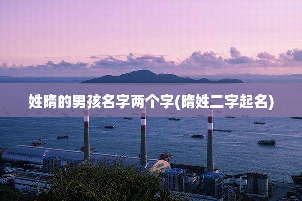 姓隋的男孩名字两个字(隋姓二字起名)
