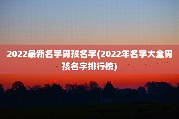 2022最新名字男孩名字(2022年名字大全男孩名字排行榜)