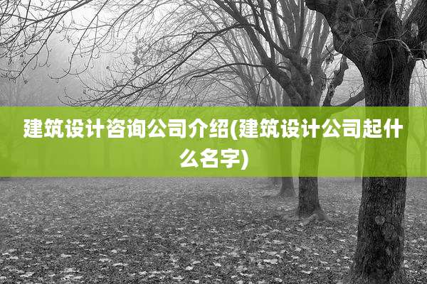 建筑设计咨询公司介绍(建筑设计公司起什么名字)