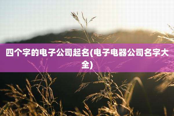 四个字的电子公司起名(电子电器公司名字大全)