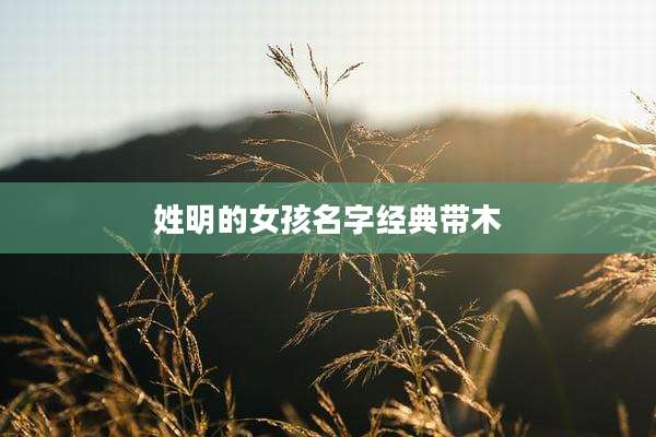 姓明的女孩名字经典带木