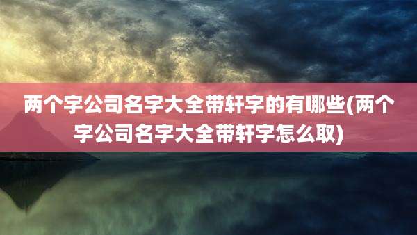 两个字公司名字大全带轩字的有哪些(两个字公司名字大全带轩字怎么取)