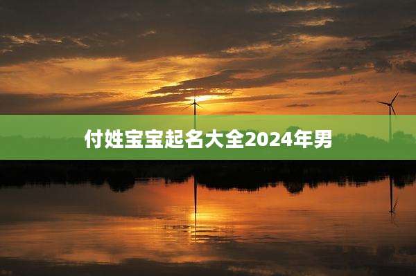付姓宝宝起名大全2024年男