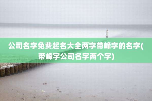 公司名字免费起名大全两字带峰字的名字(带峰字公司名字两个字)
