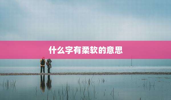 什么字有柔软的意思