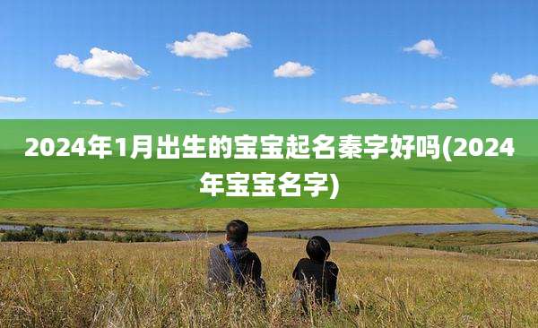 2024年1月出生的宝宝起名秦字好吗(2024年宝宝名字)