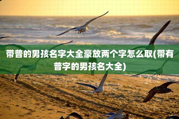 带普的男孩名字大全豪放两个字怎么取(带有普字的男孩名大全)