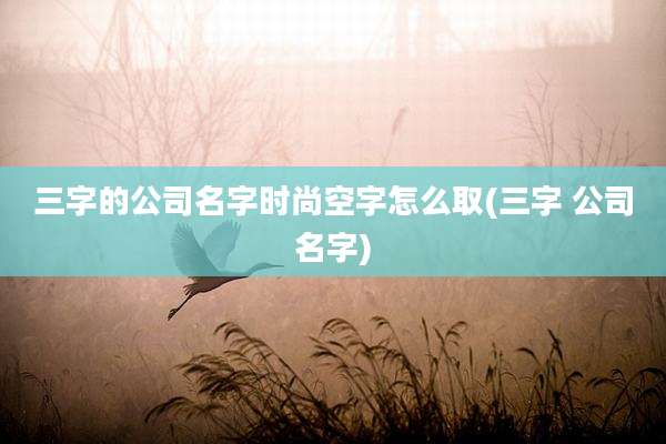三字的公司名字时尚空字怎么取(三字 公司名字)