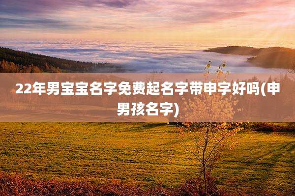 22年男宝宝名字免费起名字带申字好吗(申男孩名字)