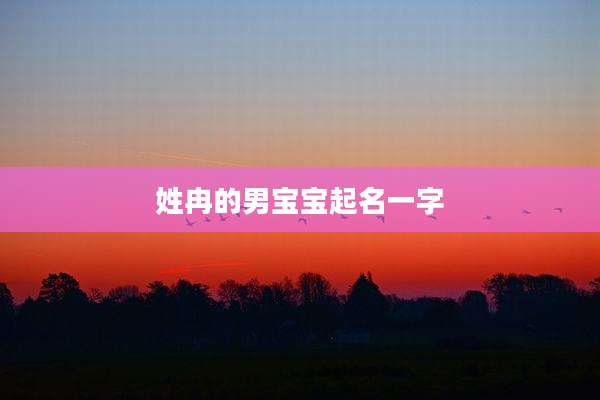 姓冉的男宝宝起名一字