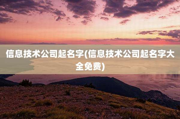 信息技术公司起名字(信息技术公司起名字大全免费)