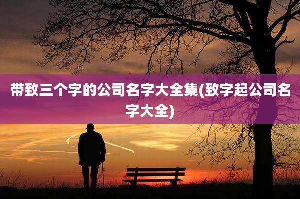 带致三个字的公司名字大全集(致字起公司名字大全)