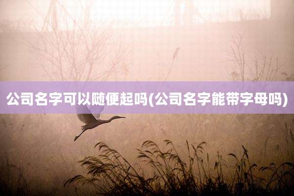 公司名字可以随便起吗(公司名字能带字母吗)