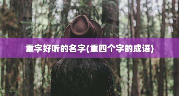 重字好听的名字(重四个字的成语)
