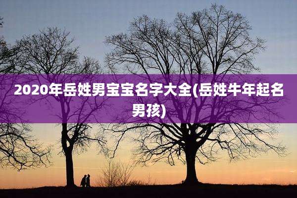 2020年岳姓男宝宝名字大全(岳姓牛年起名男孩)