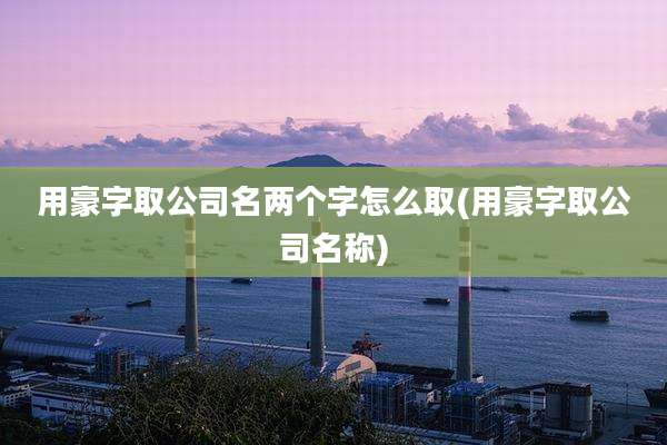 用豪字取公司名两个字怎么取(用豪字取公司名称)