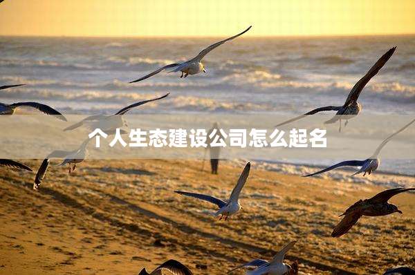 个人生态建设公司怎么起名