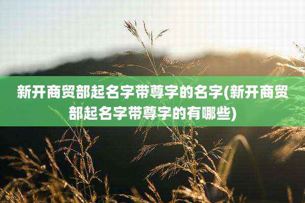 新开商贸部起名字带尊字的名字(新开商贸部起名字带尊字的有哪些)