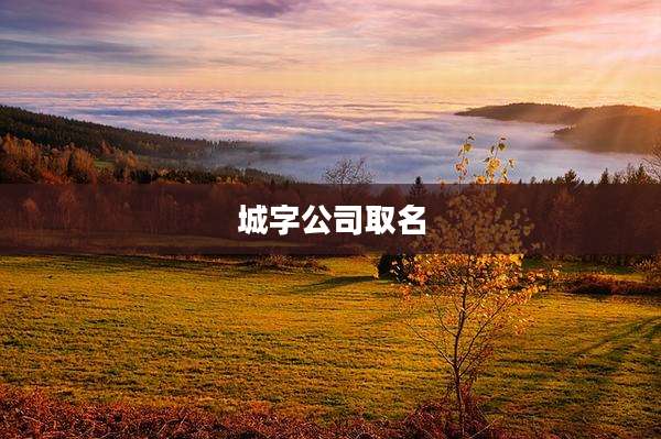 城字公司取名